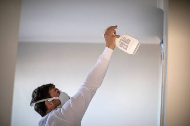 Home Mold Removal in Shoreacres, TX