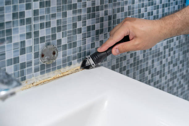 Best Attic Mold Removal  in Shoreacres, TX